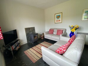 Smart-TV, Kamin, DVD-Player, Bücher