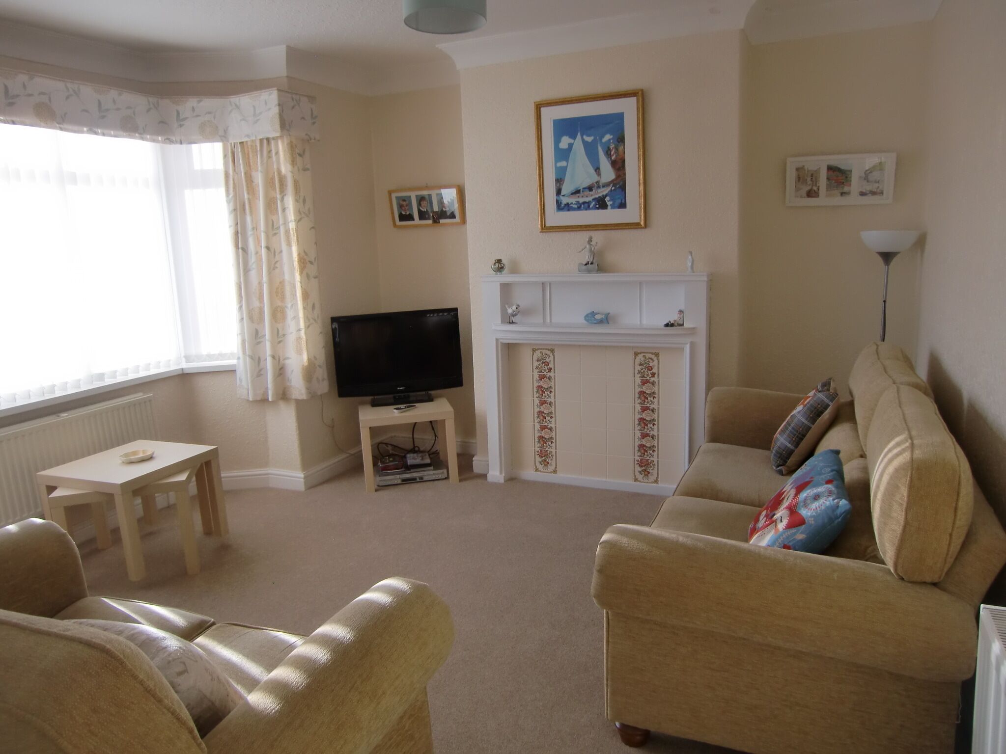 智能电视、DVD 播放器、书