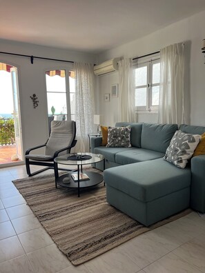 TV, fireplace, books