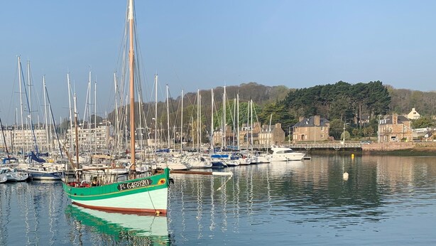 A marina with multiple sailboats docked, a green boat with a registration number, and buildings in the background.