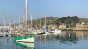 Un port de plaisance où sont amarrés de nombreux voiliers, un grand bateau vert bien visible avec un numéro d’immatriculation, et un paysage en arrière-plan composé d’immeubles et d’arbres.