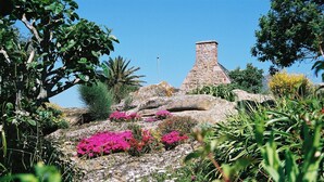 A stone structure with a chimney, surrounded by rocky terrain and various plants.
