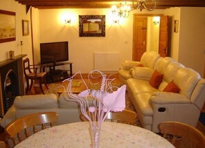 Televisio, takka, DVD-soitin, kirjoja