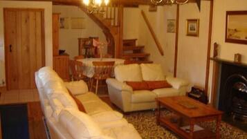 TV, fireplace, DVD player, books