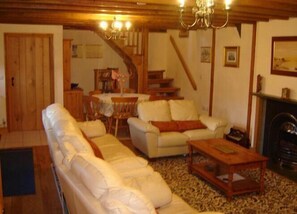 TV, fireplace, DVD player, books