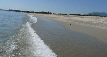 Klimatisierte Mini-Villa in einer von Bäumen gepflanzten Residenz mit Swimmingpool, Meer, Korsika