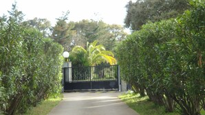Un sentiero conduce a un'area recintata, fiancheggiata da fitta vegetazione.