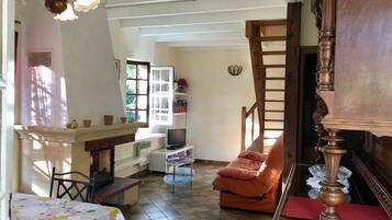 Télévision, cheminée, lecteur de DVD, livres