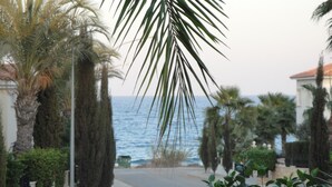 Eine Küstenstraße mit Palmen, Blick auf das Meer und Wohnhäusern.