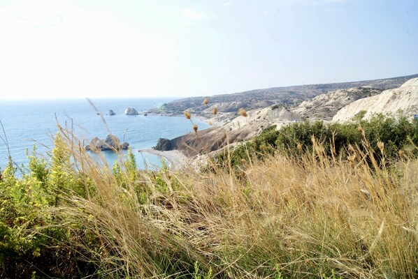 A coastal landscape with rocky terrain and sparse vegetation.