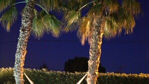 A wooden pool surrounded by palm trees and a hedge. - Beautiful villa with garden, swimming pool and jacuzzi close to all amenities (La Farlède)