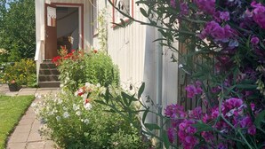 En byggnad med en överbyggd entré, en liten trädgård med blommande växter och en asfalterad gångväg som leder till entrén.