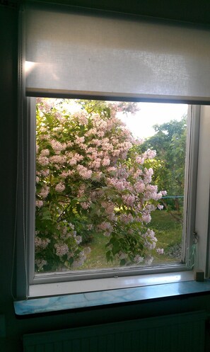 Interior - Farmhouse - in an interesting part of Sweden. Child friendly (Grastorp)