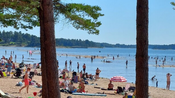 En strand där folk solar, badar och leker.