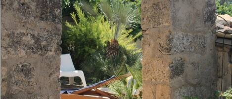 テラス / パティオ