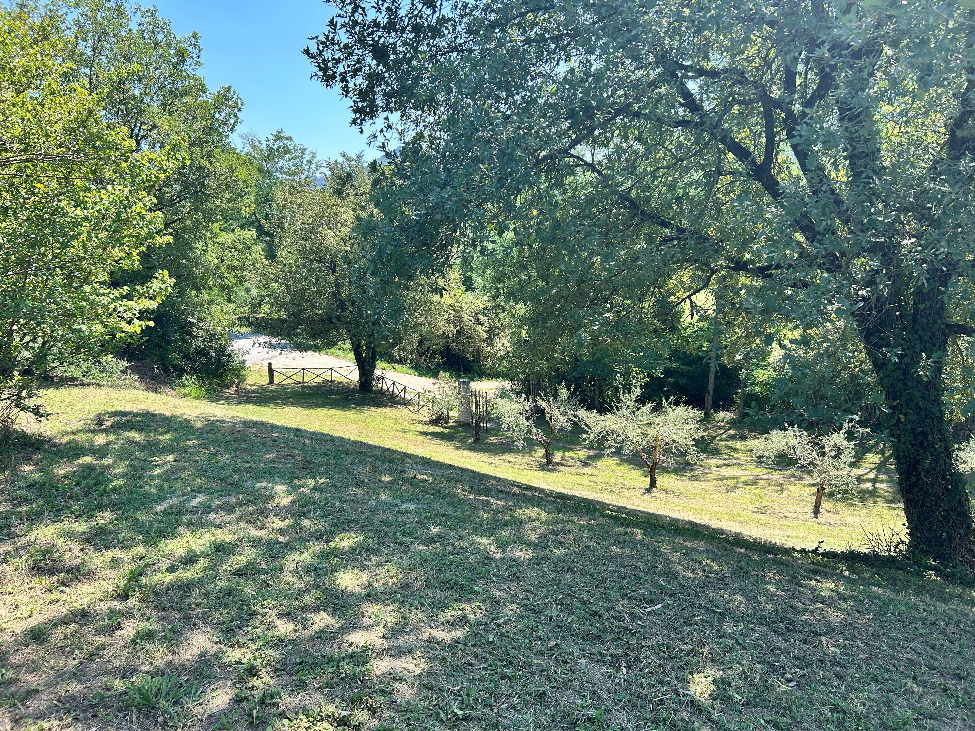 A park with a fenced area, trees, and a grassy path.