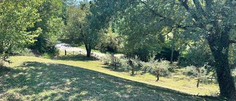 A park with a fenced area, trees, and a grassy path.