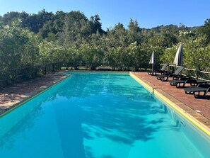 A clear swimming pool with a tiled edge, surrounded by a brick deck. There are lounge chairs and umbrellas along the poolside. - Large Farmhouse in peaceful location with large pool letting fast. (Penna San Giovanni)