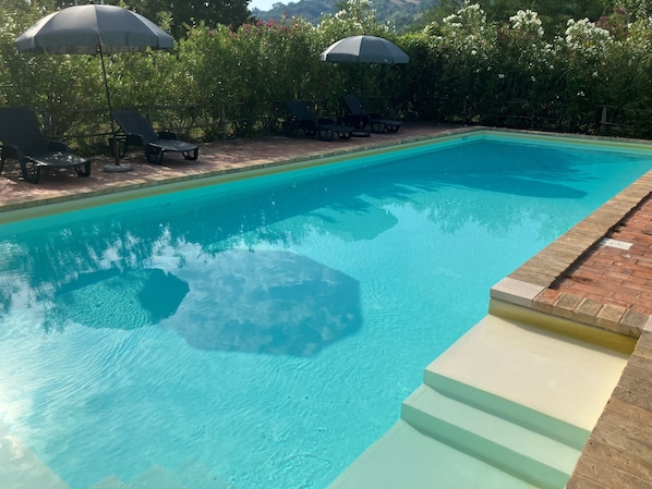 A rectangular swimming pool with clear blue water, surrounded by a brick deck and greenery. There are two umbrellas providing shade.