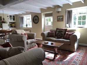 TV, fireplace, books - Charming character cottage in Kingston, Kingsbridge, Devon, England (Kingston)