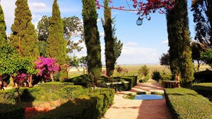 A garden pathway with neatly trimmed hedges and a small pond. - Historic patrician country house with exceptional location (Carmona)