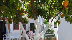 An outdoor seating area with white metal chairs and tables, surrounded by trees bearing oranges. - Historic patrician country house with exceptional location (Carmona)