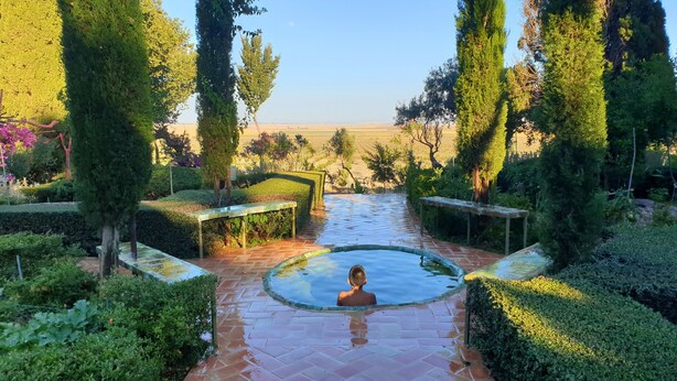 A man in a swimming pool surrounded by well-manicured hedges and tall trees, with a clear view of the landscape in the background. - Historic patrician country house with exceptional location (Carmona)