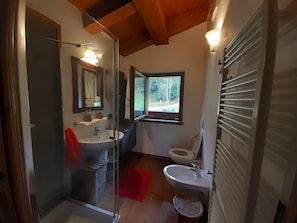 Regadera, secadora de cabello, bidet, toallas