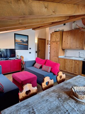 TV, DVD player, books, video library