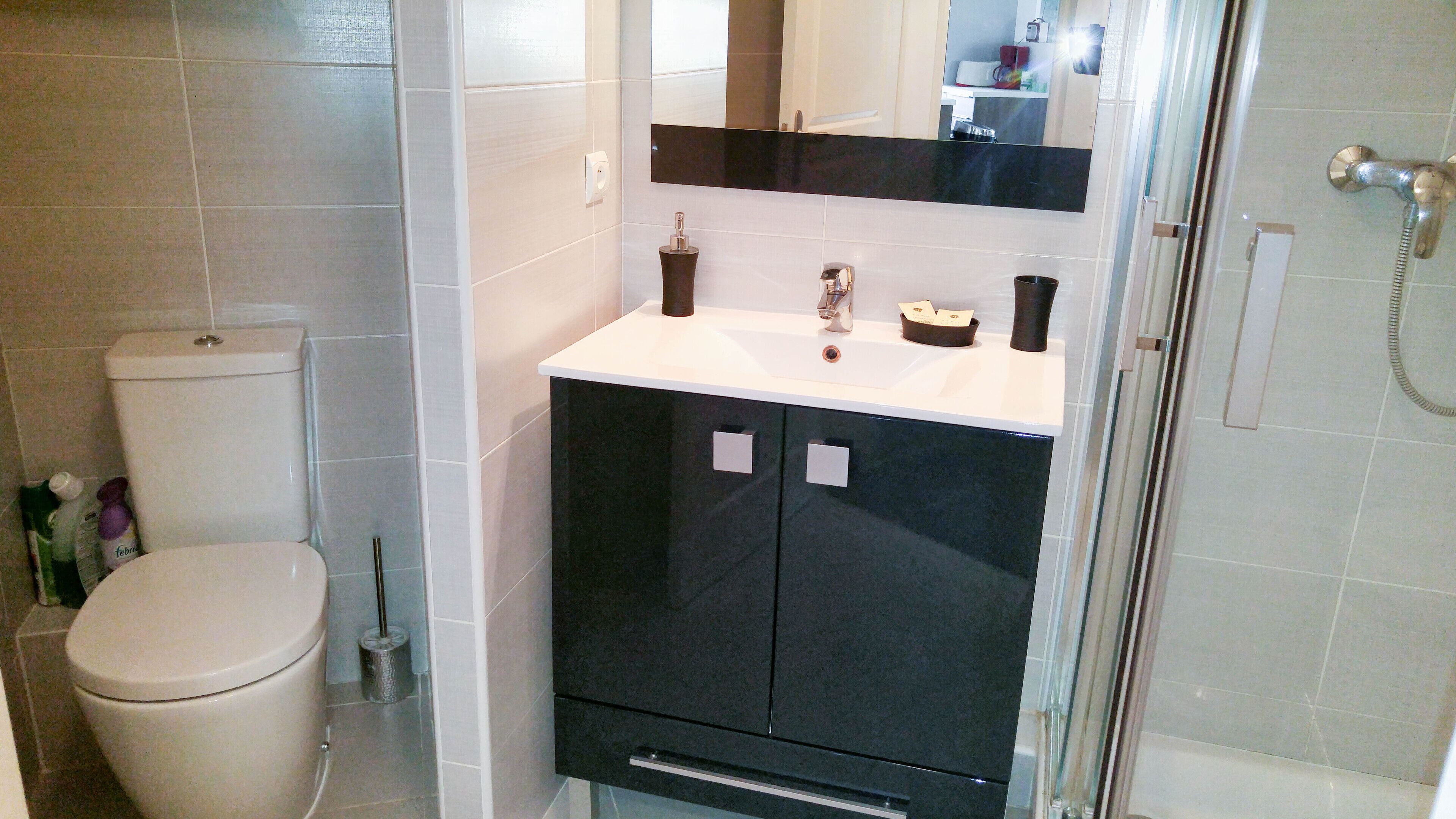 A bathroom with a toilet, a sink with a mirror above, and a shower area.