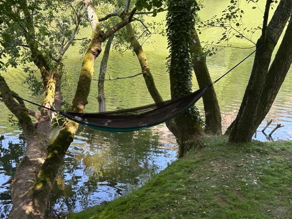 A hammock tied between trees by a calm body of water.
