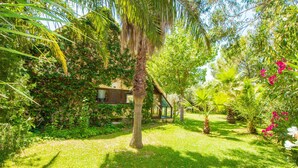 A lush garden with a variety of plants and trees, a palm tree, and a small house partially obscured by foliage.