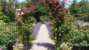 A garden pathway with a floral archway, surrounded by potted plants and a gravel path.
