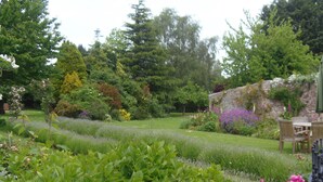 A garden with various plants and flowers, a stone wall, and a wooden bench.