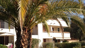 Um edifício moderno com fachada branca, rodeado por um jardim bem cuidado com diversas plantas e uma palmeira.
