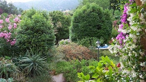 Un jardin avec différentes sortes de plantes et un lampadaire.