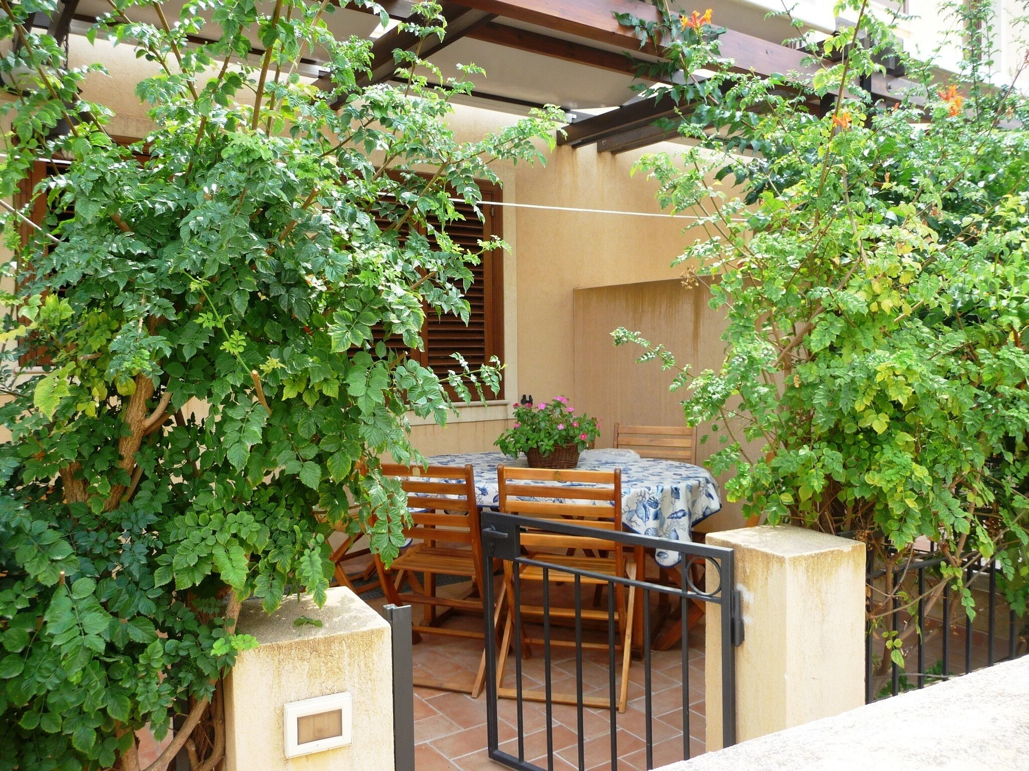 Une terrasse avec une table et des chaises, entourée d’une végétation luxuriante et agrémentée d’une pergola en bois.