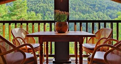 A fantastic holiday home, private pool and barbecue. Wifi