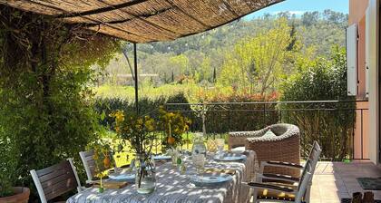 La Villa Rose is a spacious villa in Provence with a large pool.