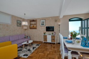 TV, DVD player, books, video library