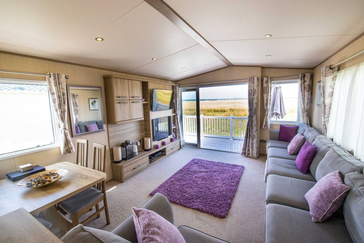 智能電視、壁爐、Netflix、DVD 播放機