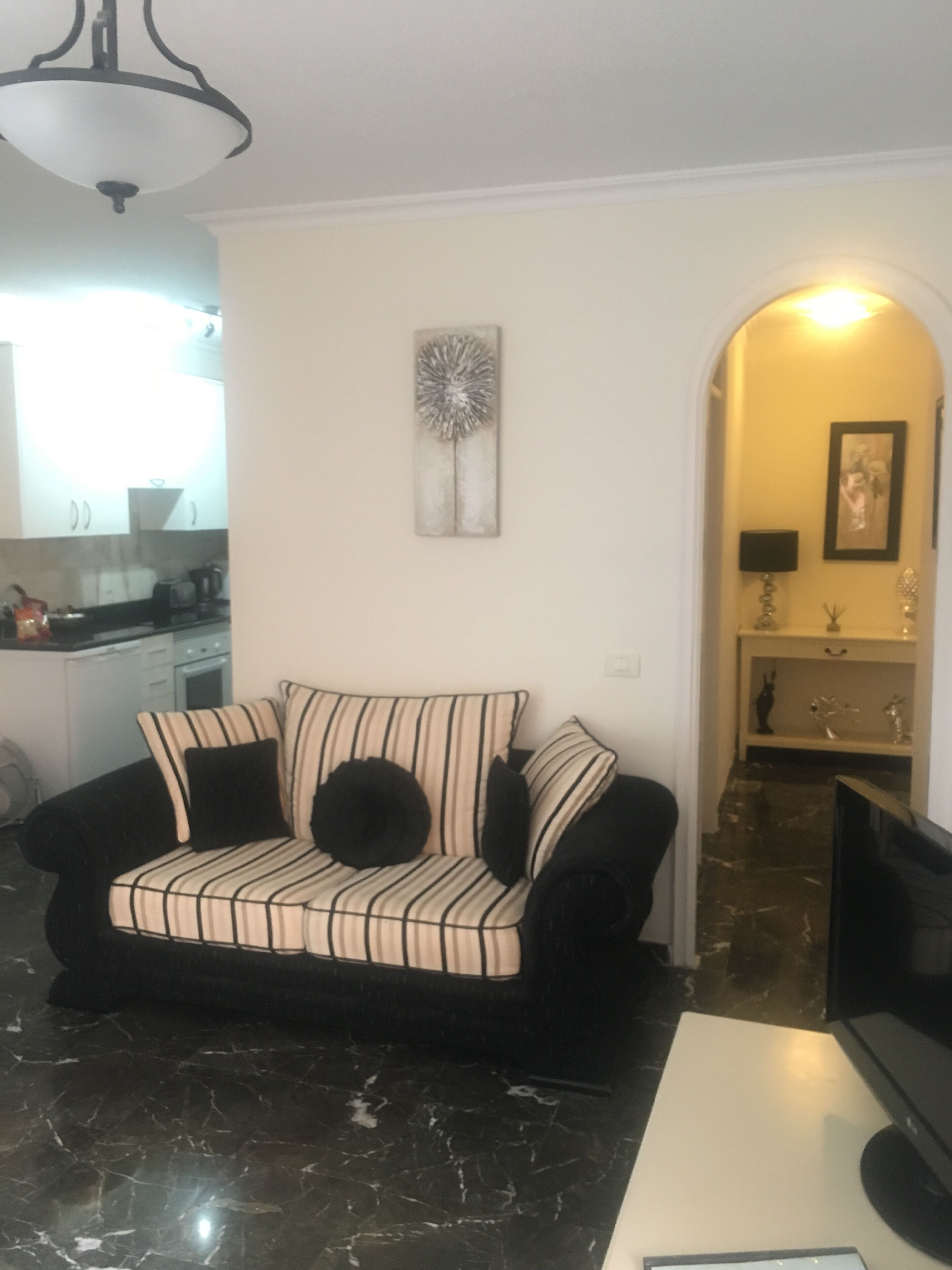 Télévision, lecteur de DVD, livres, chaîne hi-fi