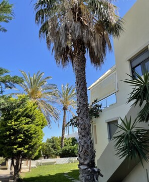 Ein modernes Gebäude mit weißer Fassade, eine Palme im Vordergrund und ein strahlend blauer Himmel.