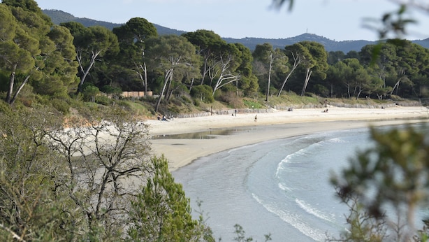 Ein Strand mit sandigem Ufer, Bäumen und blauem Himmel.
