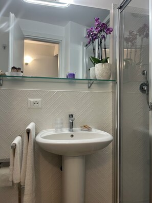 Shower, hair dryer, towels