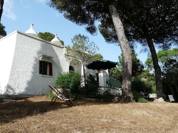 vista della casa dal giardino posteriore