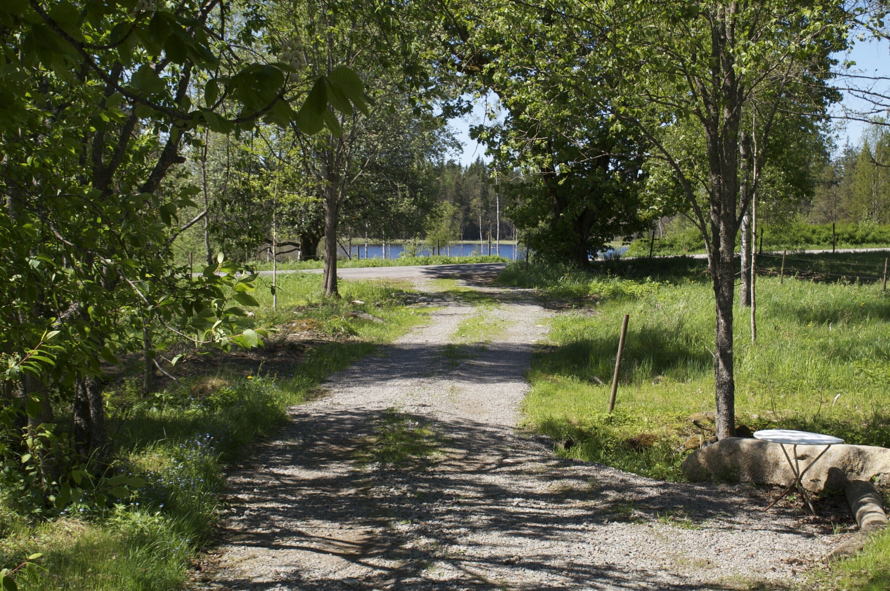 Un sentier de gravier mène à un plan d’eau, qui est entouré d’arbres et d’herbe.