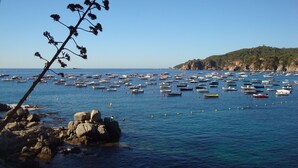 A coastal scene with numerous boats anchored in the water, rocky shoreline, and a clear sky.