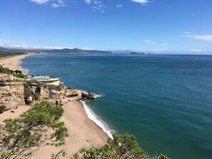 بالقرب من الشاطئ