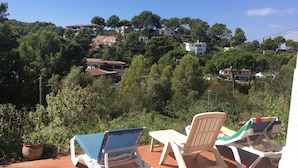A terrace with two lounge chairs and a potted plant.